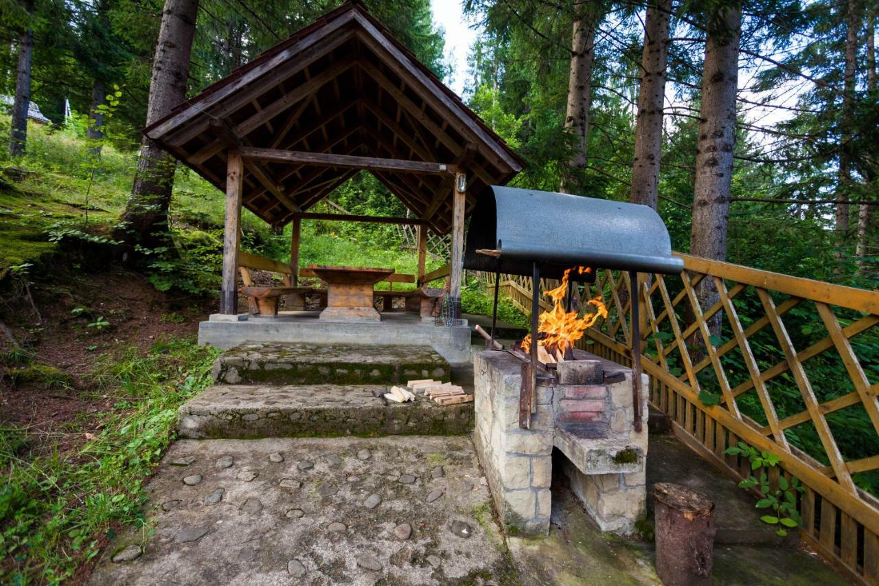 ホテルАльпина ヤレムチャ エクステリア 写真